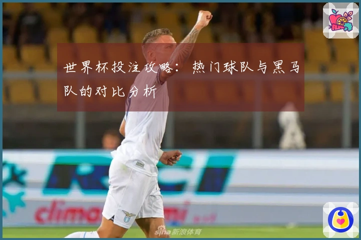 世界杯投注攻略：热门球队与黑马队的对比分析