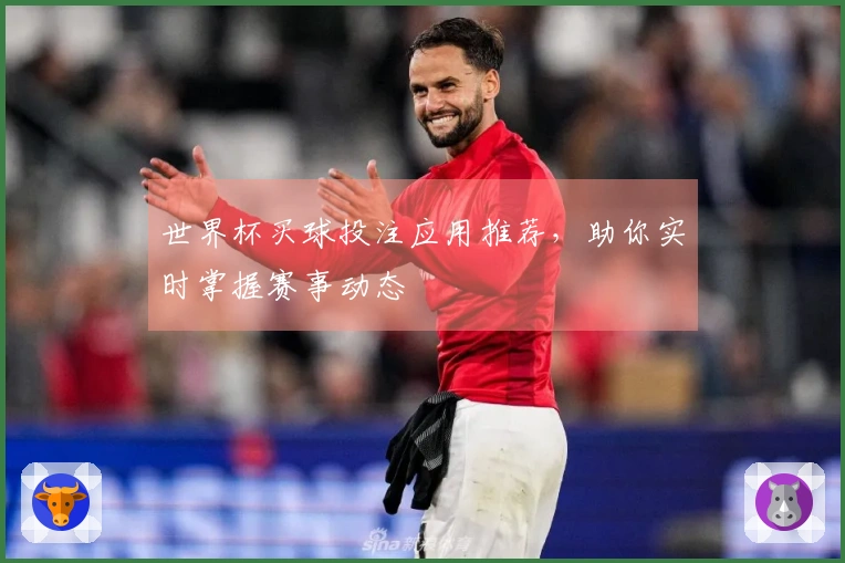 世界杯买球投注应用推荐，助你实时掌握赛事动态
