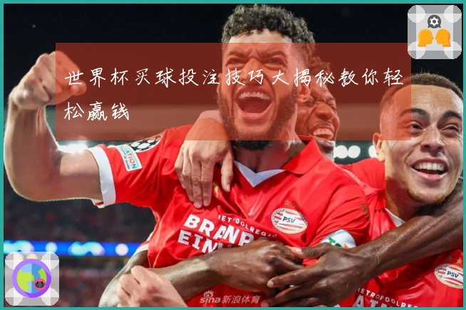 世界杯买球投注技巧大揭秘教你轻松赢钱