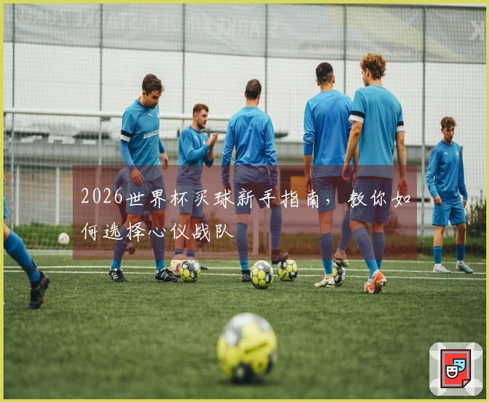 2026世界杯买球新手指南，教你如何选择心仪战队