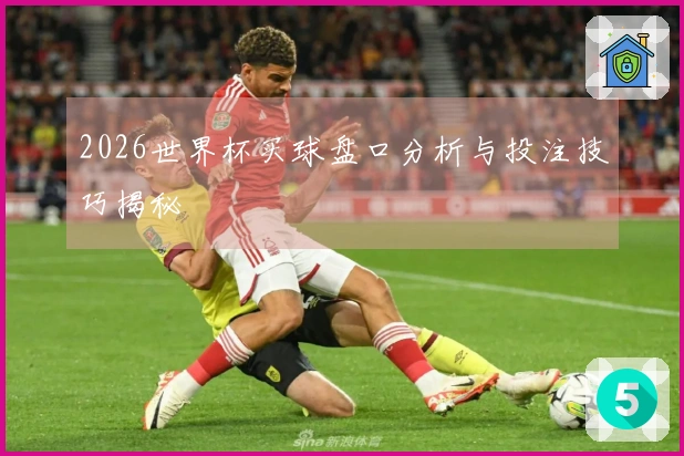 2026世界杯买球盘口分析与投注技巧揭秘
