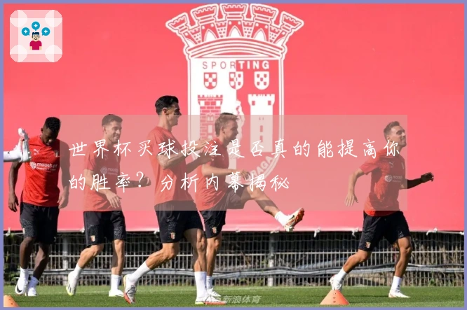 世界杯买球投注是否真的能提高你的胜率？分析内幕揭秘