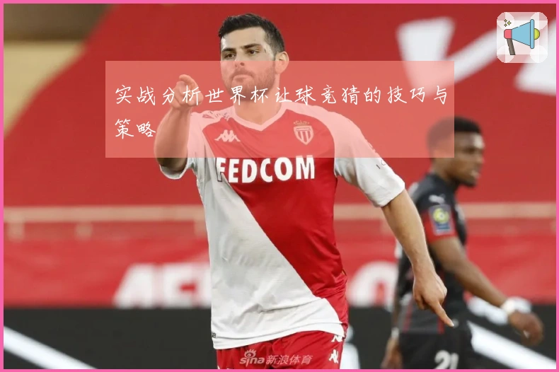 实战分析世界杯让球竞猜的技巧与策略