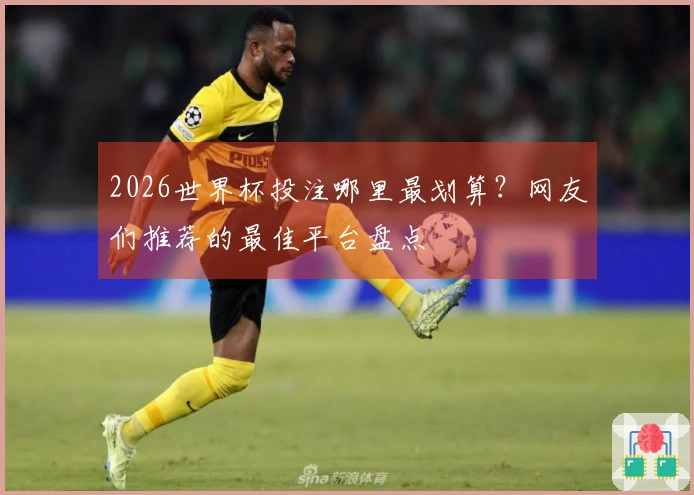 2026世界杯投注哪里最划算？网友们推荐的最佳平台盘点