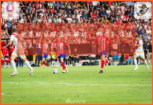 世界杯让球盘口解析，哪些队伍值得关注与投资