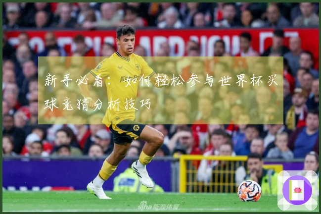 新手必看：如何轻松参与世界杯买球竞猜分析技巧